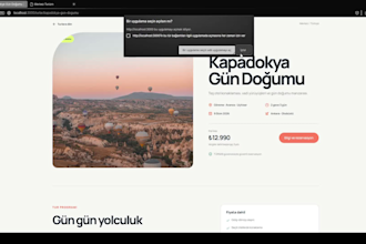 build a simple responsive website for you