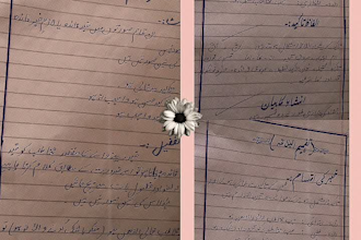 write urdu article,essays and assignment for students