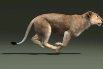 create realistic 3d animal model 3d creature with xgen hair, 3d animal animation