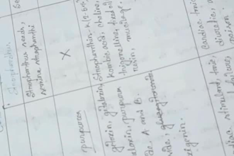 write any documents with my beautiful handwriting