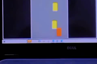 create professional assignments and ai projected