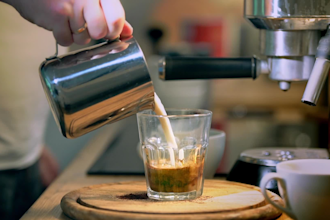 create canva video ads for social media