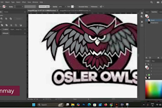 convert logo, sketch, or raster to vector