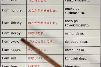 translate english to japanese and japanese to english