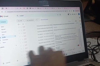 provide high authority guest posts, niche edits expert