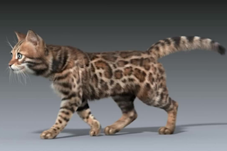 create 3d animal model pet, creature with realistic fur, xgen hair and texture