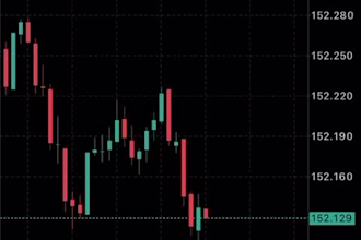 teach you forex trading and will make you a profitable forex trader