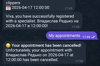 build a professional telegram mini app or booking bot