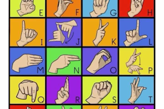 interpret asl, translate american sign language from text to video