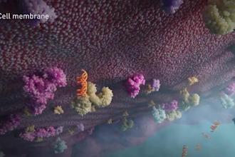 create 3d medical animation and pharmaceutical drug mechanism video