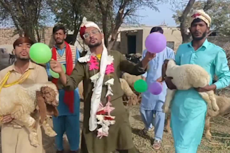 do happy birthday video or africa happy birthday video