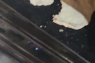 tu diseñadora de menu