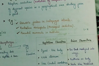 write neat handwritten notes with diagrams for students