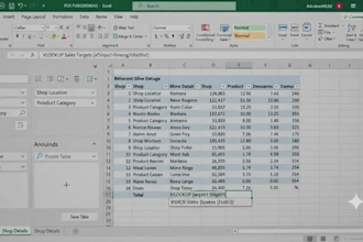 create excel pivot tables, formulas, and sales reports