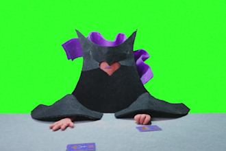 do a stop motion animation for you