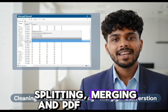 do excel data entry, cleaning, formatting, merging, splitting and PDF conversion