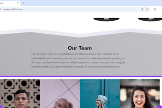 build fast responsive custom angular websites and apps