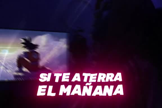 edicion de videos reels para tiktok o instagram efectivos