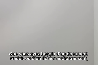 translate english to french with native fluency