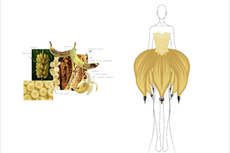 develop concept driven fashion capsule collection