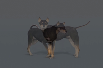 create high quality 3d realistic animal animation, 3d dog models, cgi production