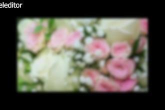 design wedding intro and invitation animation