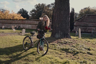 professionally color grade and color correct your video