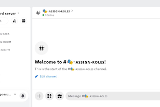 setup custom discord server