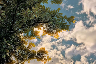 edit cinematic instagram reels and short videos