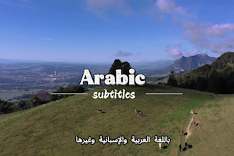 add accurate subtitles to your video in 4 languages fast