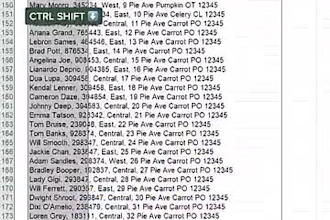 do data cleaning, data formatting and excel data data cleanup