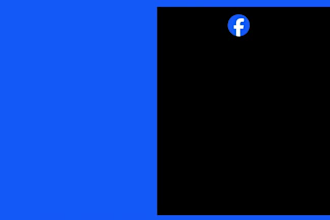 delete old social media posts and do a professional social media clean up