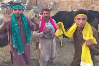 wish happy birthday video or africa happy birthday video