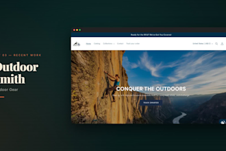 design a high converting shopify dropshipping store with premium UI UX