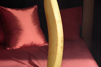 sell you a useless ai banana masterpiece for 10,000 dollars