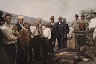 do professional colorization for antique photographs