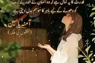 write creative content and urdu poetry for you