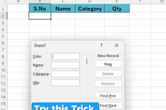 do accounting, audit, and business finance tasks