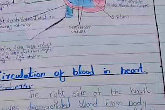 write notes and letters