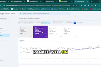 a professional shopify store with SEO optimization