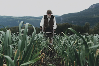 cinematically edit your short film or documentary