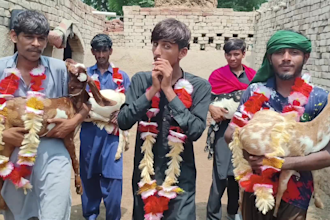 do happy birthday video or africa happy birthday video