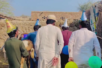 african happy birthday video african happy birthday video