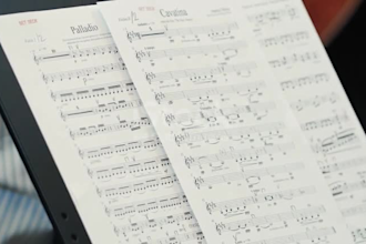 transcribe your song or audio into a professional sheet music, midi and notation