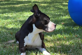 create authentic lifestyle ugc for outdoor brands