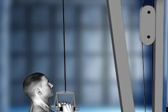 create realistic gym fitness, muscle anatomy and workout video animation