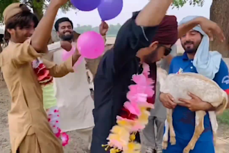 make happy fathers day video