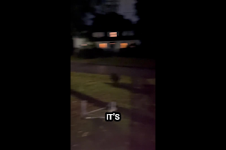add engaging modern captions to shortform videos