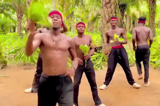 african happy birthday video african happy birthday video