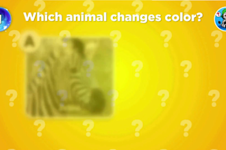 create quiz trivia question videos for youtube